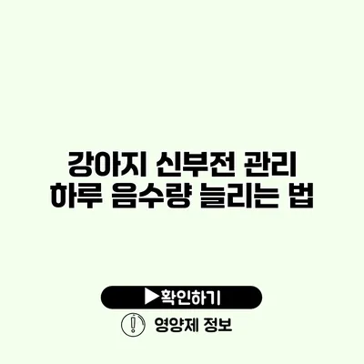 강아지 신부전 관리 하루 음수량 늘리는 법