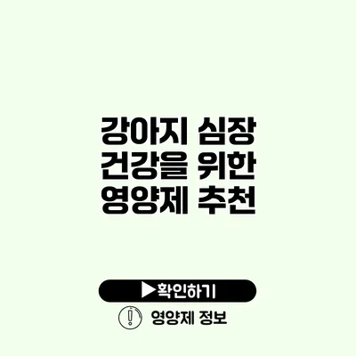 강아지 심장 건강을 위한 영양제 추천