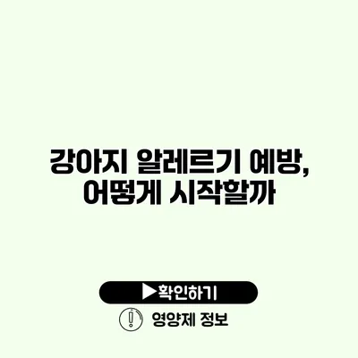 강아지 알레르기 예방, 어떻게 시작할까?