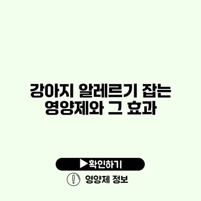 강아지 알레르기 잡는 영양제와 그 효과