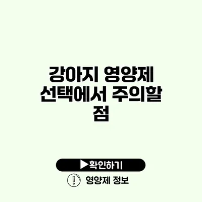 강아지 영양제 선택에서 주의할 점