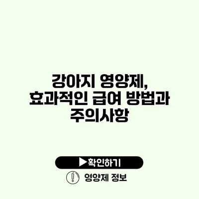 강아지 영양제, 효과적인 급여 방법과 주의사항