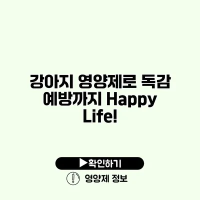 강아지 영양제로 독감 예방까지 Happy Life!