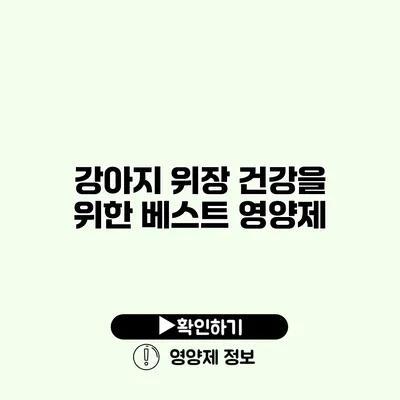 강아지 위장 건강을 위한 베스트 영양제