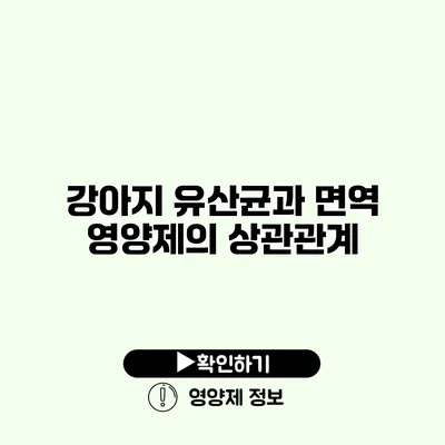 강아지 유산균과 면역 영양제의 상관관계