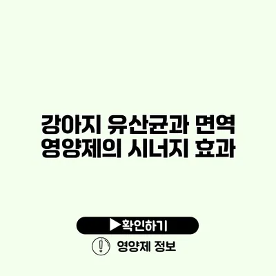 강아지 유산균과 면역 영양제의 시너지 효과