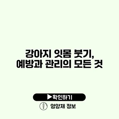 강아지 잇몸 붓기, 예방과 관리의 모든 것