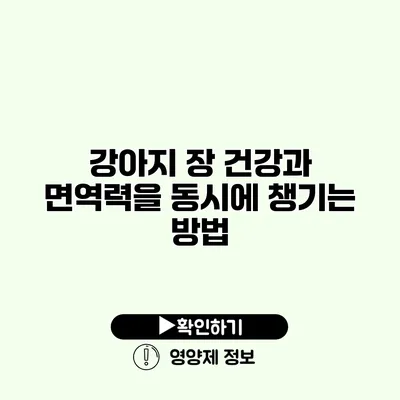 강아지 장 건강과 면역력을 동시에 챙기는 방법