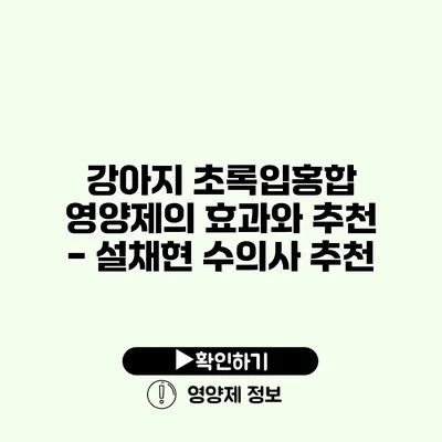 강아지 초록입홍합 영양제의 효과와 추천 - 설채현 수의사 추천