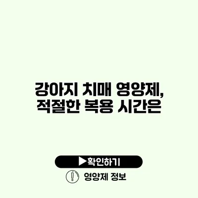 강아지 치매 영양제, 적절한 복용 시간은?