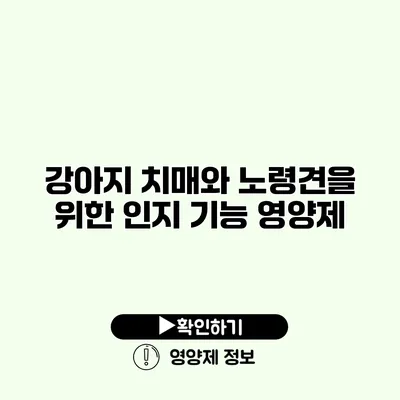 강아지 치매와 노령견을 위한 인지 기능 영양제