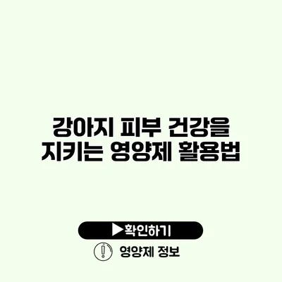 강아지 피부 건강을 지키는 영양제 활용법