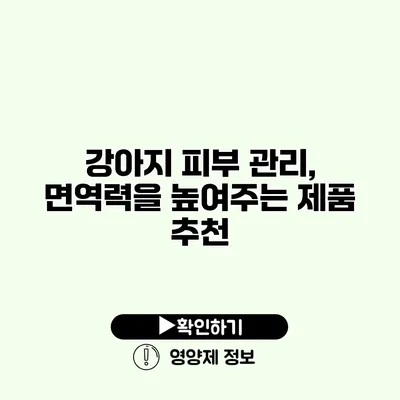 강아지 피부 관리, 면역력을 높여주는 제품 추천