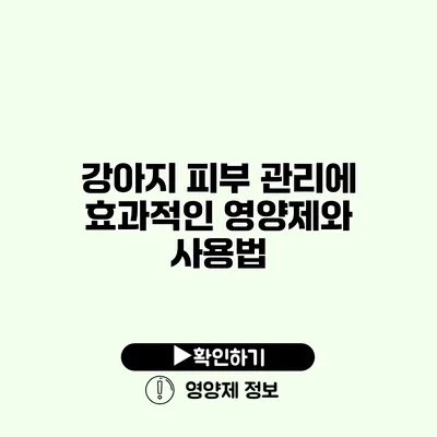 강아지 피부 관리에 효과적인 영양제와 사용법