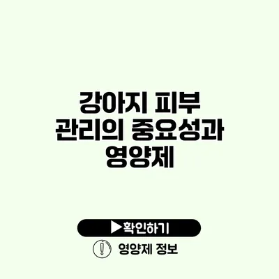 강아지 피부 관리의 중요성과 영양제