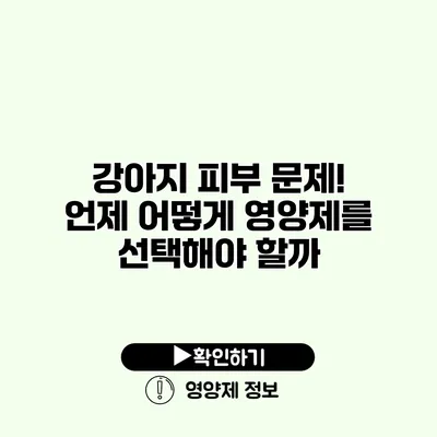강아지 피부 문제! 언제 어떻게 영양제를 선택해야 할까?