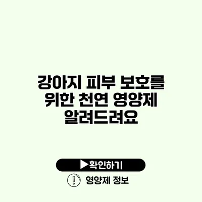 강아지 피부 보호를 위한 천연 영양제 알려드려요