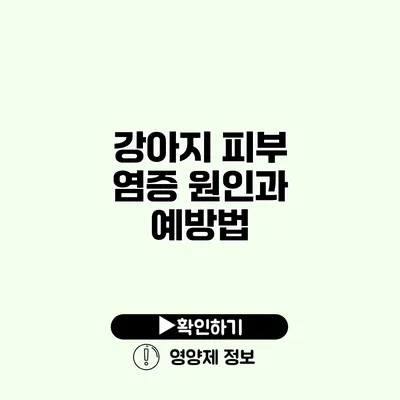 강아지 피부 염증 원인과 예방법