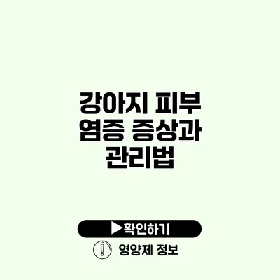 강아지 피부 염증 증상과 관리법