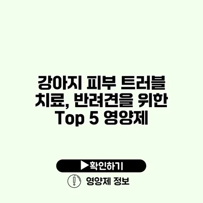 강아지 피부 트러블 치료, 반려견을 위한 Top 5 영양제