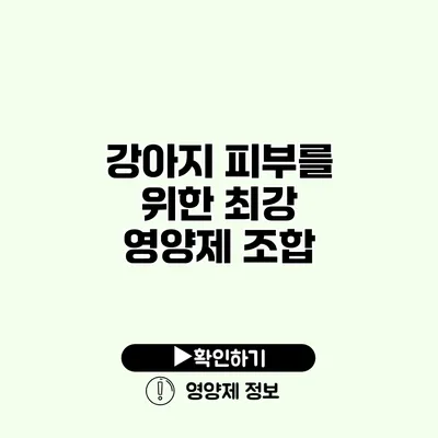 강아지 피부를 위한 최강 영양제 조합