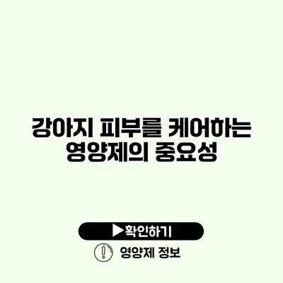 강아지 피부를 케어하는 영양제의 중요성