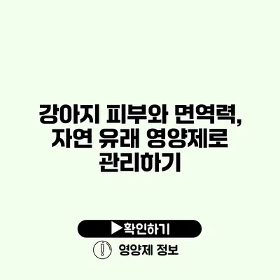 강아지 피부와 면역력, 자연 유래 영양제로 관리하기