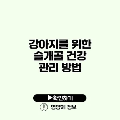 강아지를 위한 슬개골 건강 관리 방법