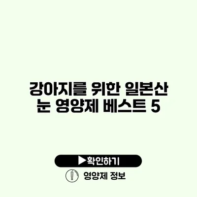 강아지를 위한 일본산 눈 영양제 베스트 5