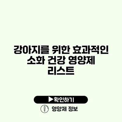 강아지를 위한 효과적인 소화 건강 영양제 리스트 강아지를 위한 효과적인 소화 건강 영양제 리스트
