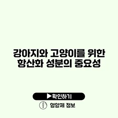 강아지와 고양이를 위한 항산화 성분의 중요성