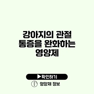 강아지의 관절 통증을 완화하는 영양제