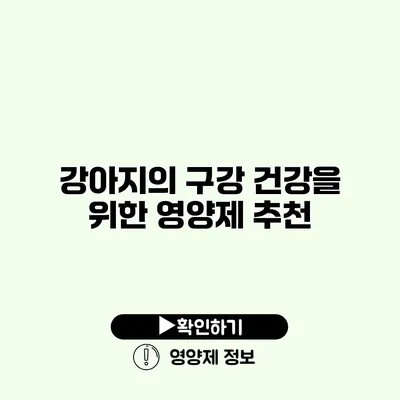 강아지의 구강 건강을 위한 영양제 추천