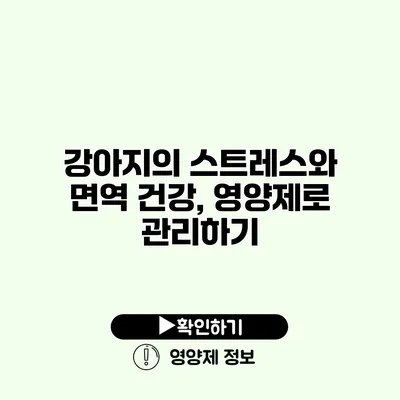 강아지의 스트레스와 면역 건강, 영양제로 관리하기