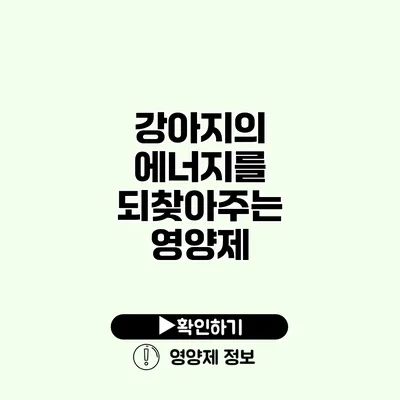 강아지의 에너지를 되찾아주는 영양제