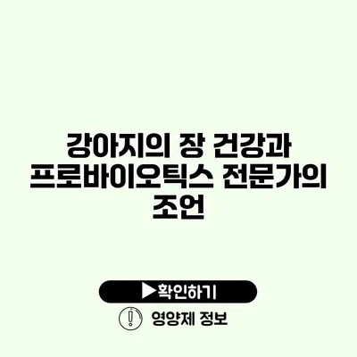 강아지의 장 건강과 프로바이오틱스 전문가의 조언