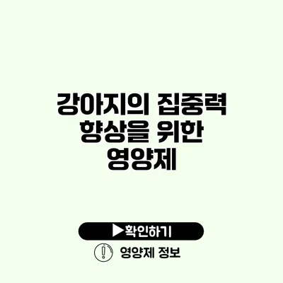 강아지의 집중력 향상을 위한 영양제