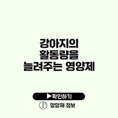 강아지의 활동량을 늘려주는 영양제