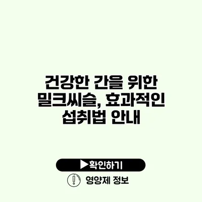 건강한 간을 위한 밀크씨슬, 효과적인 섭취법 안내