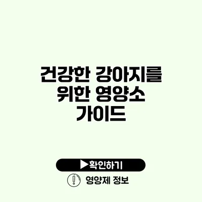 건강한 강아지를 위한 영양소 가이드