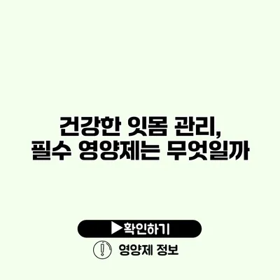 건강한 잇몸 관리, 필수 영양제는 무엇일까?