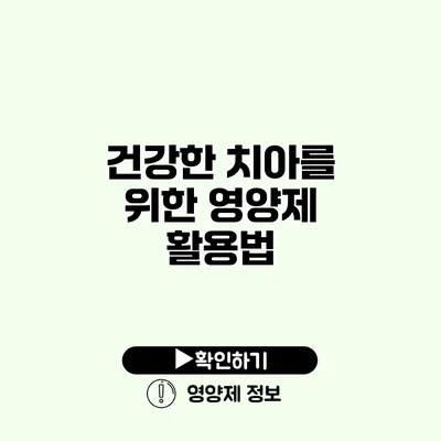 건강한 치아를 위한 영양제 활용법