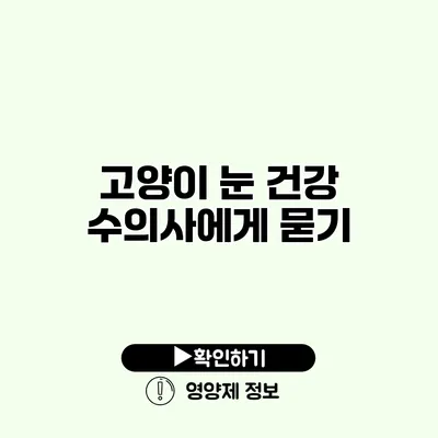 고양이 눈 건강 수의사에게 묻기