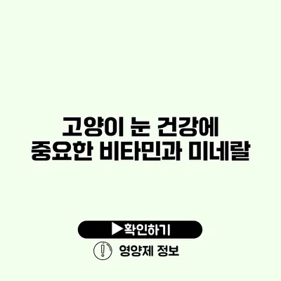 고양이 눈 건강에 중요한 비타민과 미네랄
