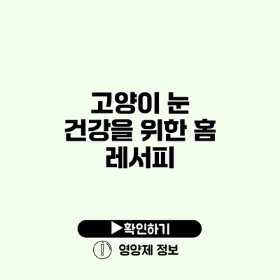 고양이 눈 건강을 위한 홈 레서피