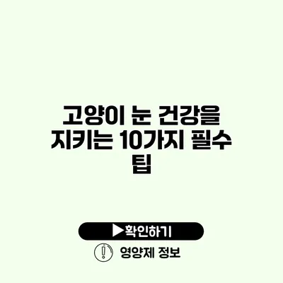 고양이 눈 건강을 지키는 10가지 필수 팁