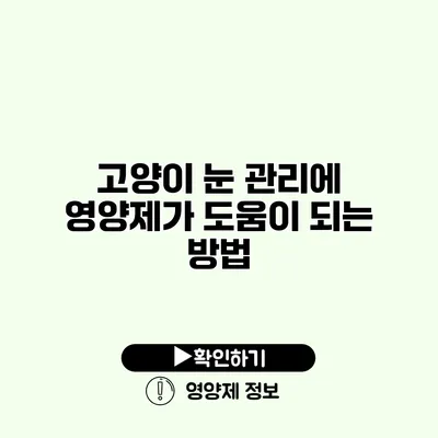 고양이 눈 관리에 영양제가 도움이 되는 방법