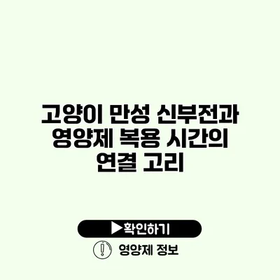 고양이 만성 신부전과 영양제 복용 시간의 연결 고리