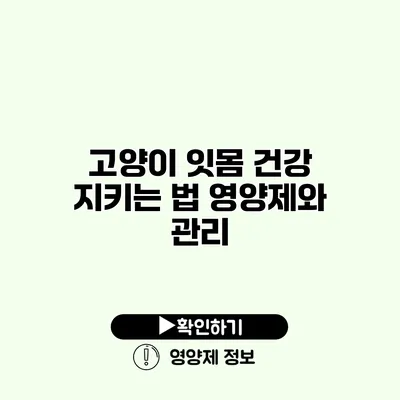 고양이 잇몸 건강 지키는 법 영양제와 관리