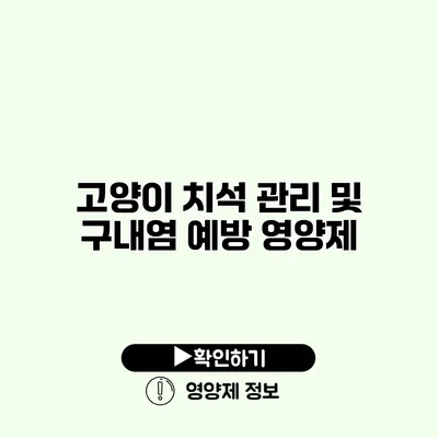 고양이 치석 관리 및 구내염 예방 영양제